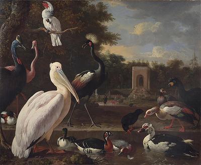 Melchior de Hondecoeter A Pelican and other exotic birds in a park oil painting image
